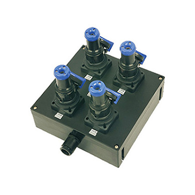 BXX8050(8060)系列防爆防腐電源插座箱（柜）（ⅡC、tD）