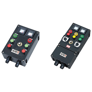 ZXF8044系列防爆防腐控制箱（ⅡC、tD）