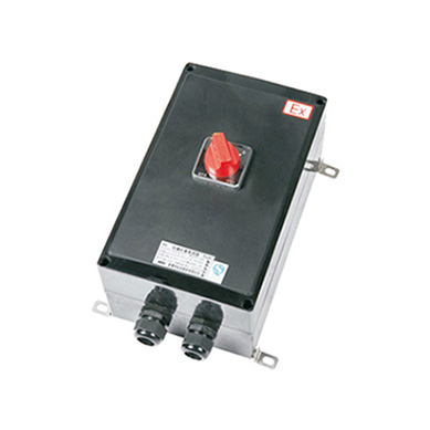 BLK8050(8060)系列防爆防腐斷路器（ⅡC、tD）