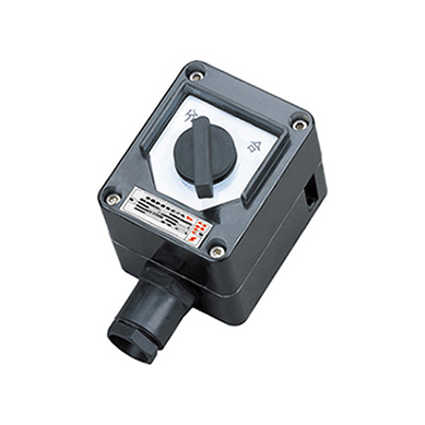 ZXF8030系列防爆防腐照明開(kāi)關(guān)（ⅡC、tD）