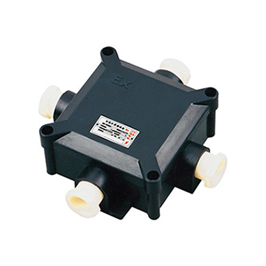 BH8050-系列防爆防腐接線盒（ⅡC、tD）